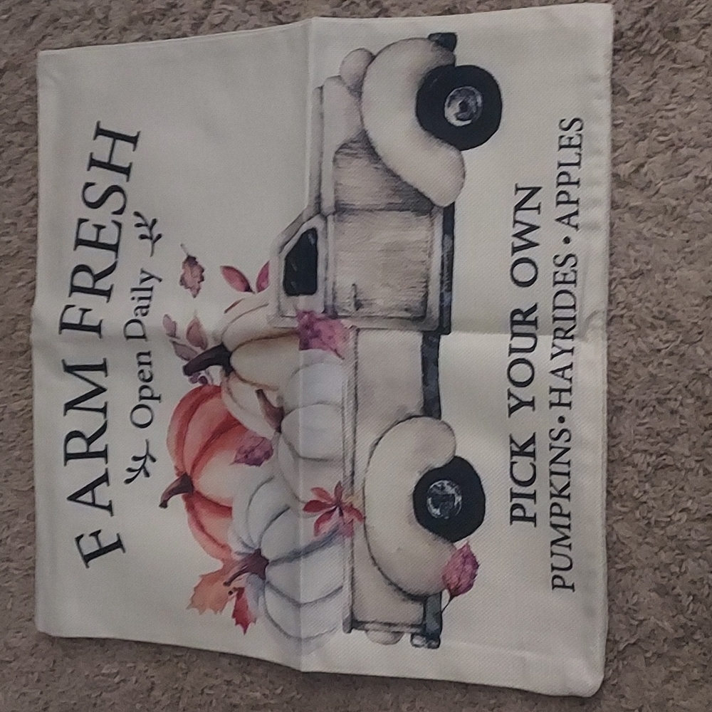 Decor Pillow Covers
